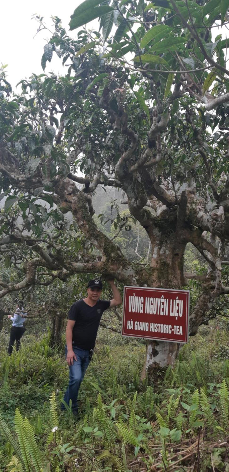 Ha Giang Historic Hotel & Tours Exterior photo